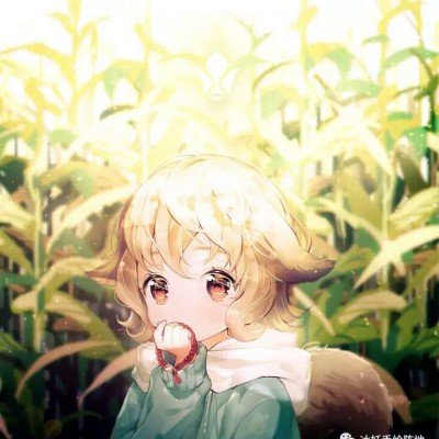 小猫吃猫条会屁股疼